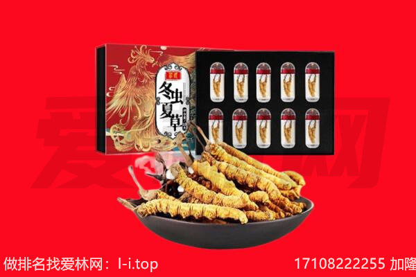 武汉东西湖区回收虫草.jpg